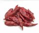 Πιπεριές Κόκκινες Καυτερές (Peperoncino)